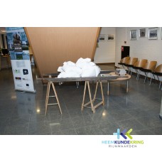 Gemeentehuis 9-1-2012 (1)